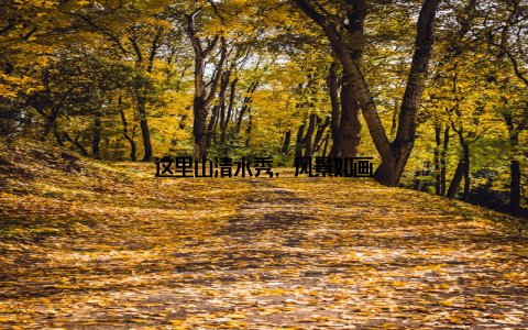 这里山清水秀, 风景如画