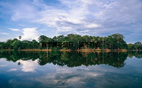 春季桃花盛开, 美不胜收