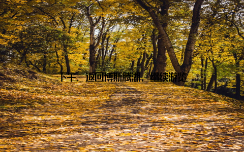 下午, 返回博斯腾湖, 继续游览