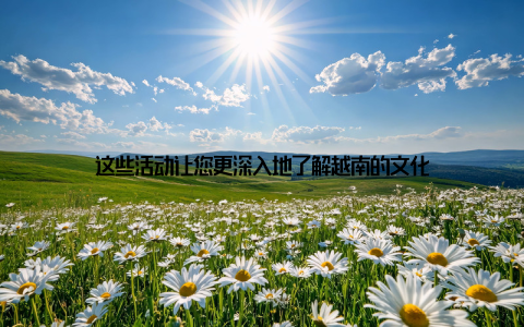 这些活动让您更深入地了解越南的文化