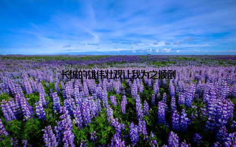 长城的雄伟壮观让我为之倾倒