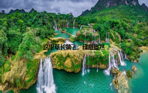 这里草长莺飞, 绿意盎然