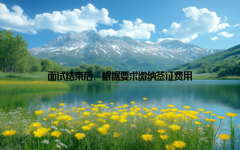 面试结束后, 根据要求缴纳签证费用