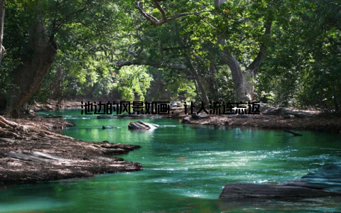 池边的风景如画, 让人流连忘返