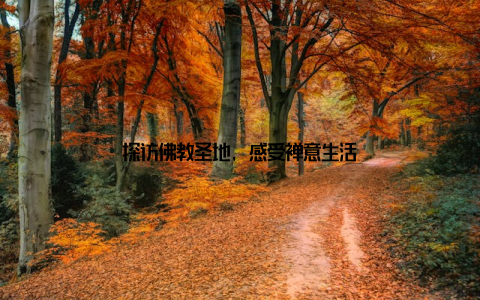 探访佛教圣地, 感受禅意生活