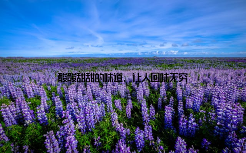 酸酸甜甜的味道, 让人回味无穷